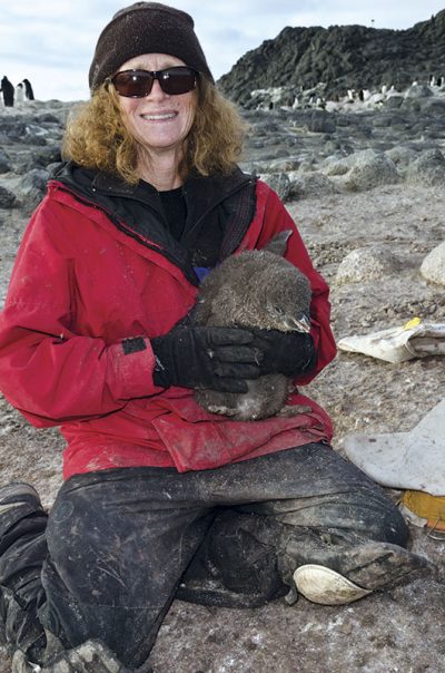 penny cook with penguin