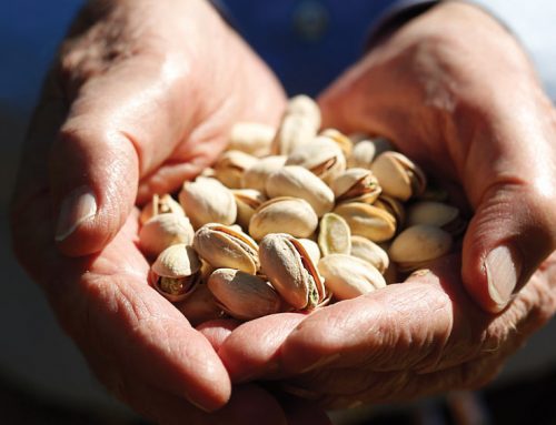 A Pioneer, a Professor and Pistachios