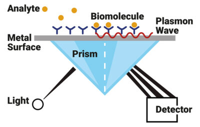 Illustrative example of surface plasmon resonance